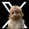XMONKEY