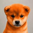 orangedog