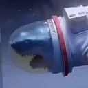 SPACESHARK