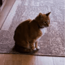 HOBBES