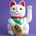 moneycat