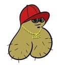 NUTZ