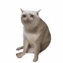 CRYCAT