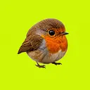 ROBIN