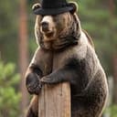 BopWifHat