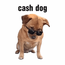 CASHDOG