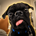 stewie
