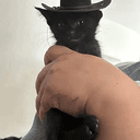 MEOWDY