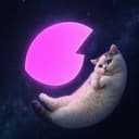 CATMOON