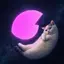CATMOON