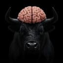 BULLBRAIN