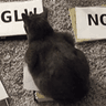CHONKER