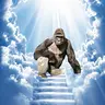 Harambe