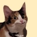 Ellie
