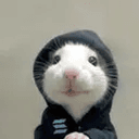 hoodrat