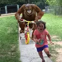 ORANGUTAN
