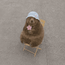 teddy