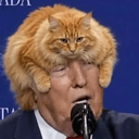 trumpcat