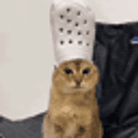 سنفور