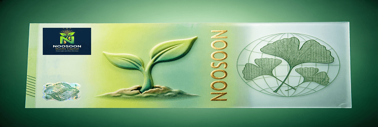 NOOSOON Bucks Capital Banner
