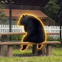 BOB