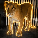 Liger