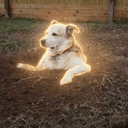 DIH