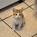 Tom