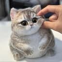 Squishy