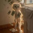 Cash