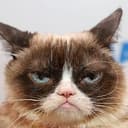 RIPGRUMPY