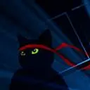 ninjacat