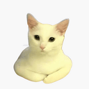 SITCAT