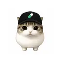pumpcat