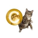 CATE