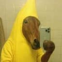 BHORSE