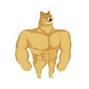 mogdoge