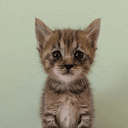 name?