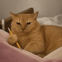 thesiscat