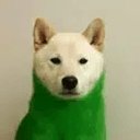 INU