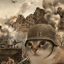 TRENCH CAT