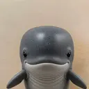 whale