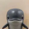 whale