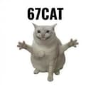 67CAT