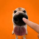 boop