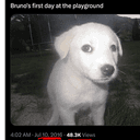 Bruno=LARP