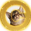 CATE
