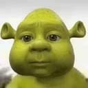 bob bob