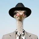 OSTRICH
