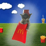 McCat